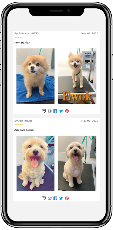 app-sshot-dogs