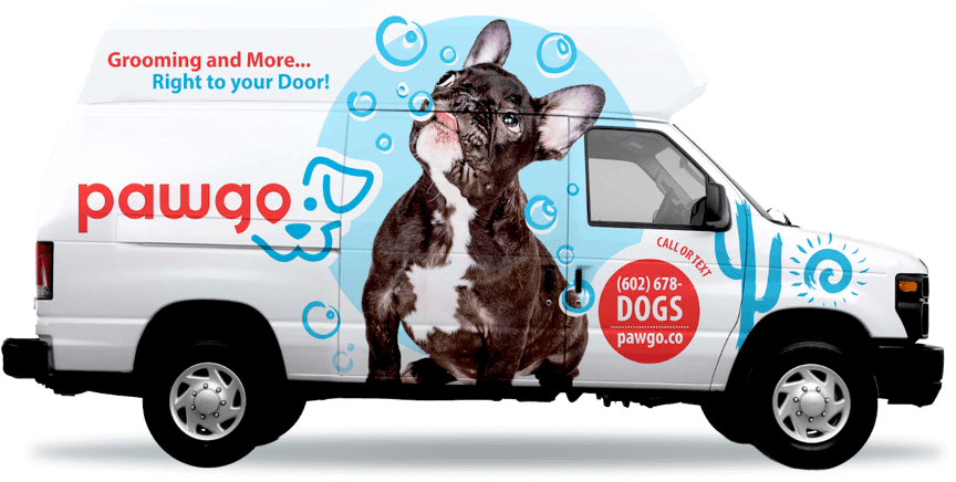 pawgo-van